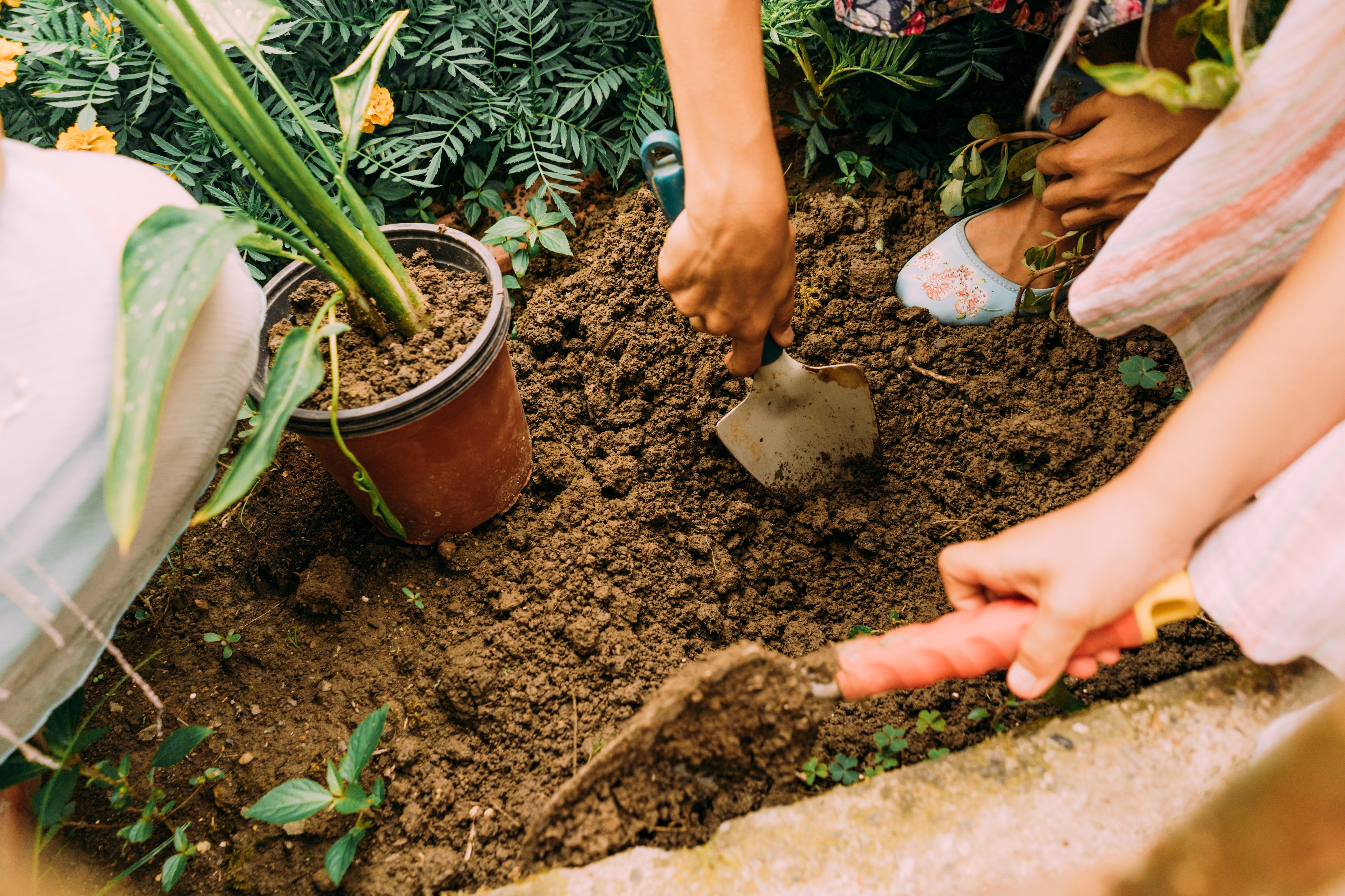 garden Topsoil
