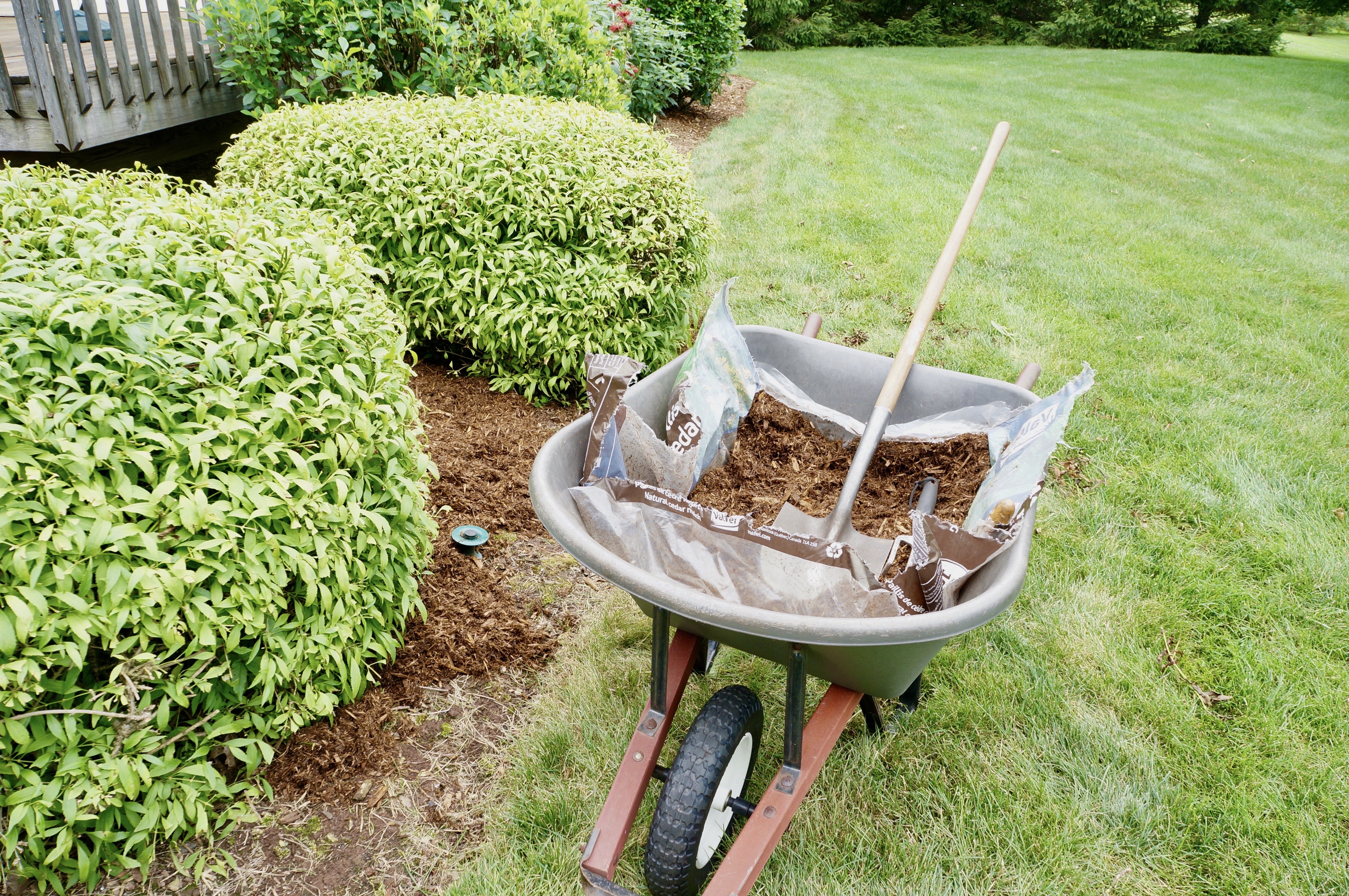 mulch landscape