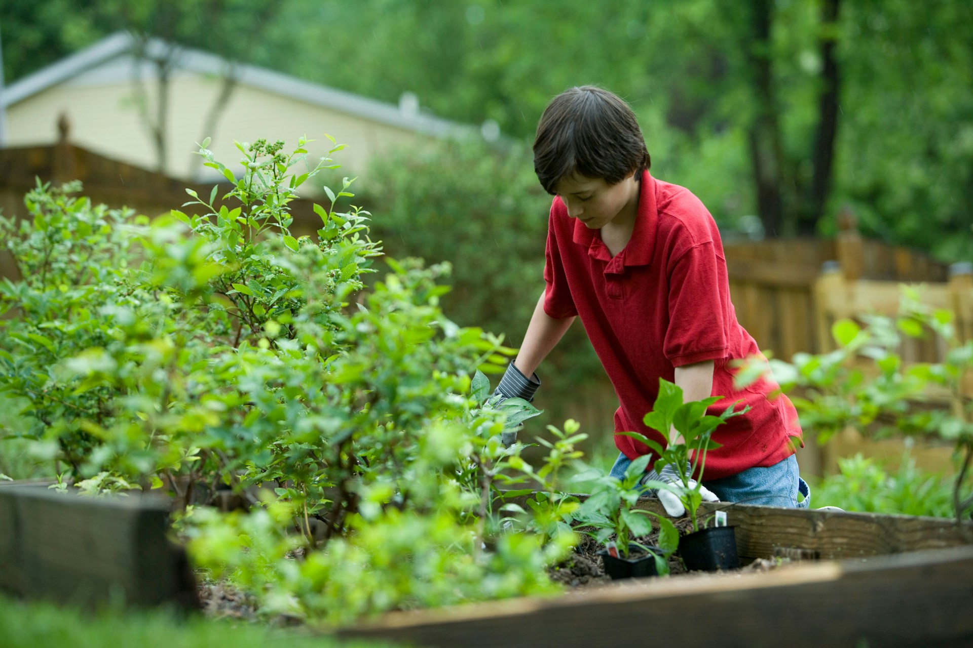 garden Soil Amendments