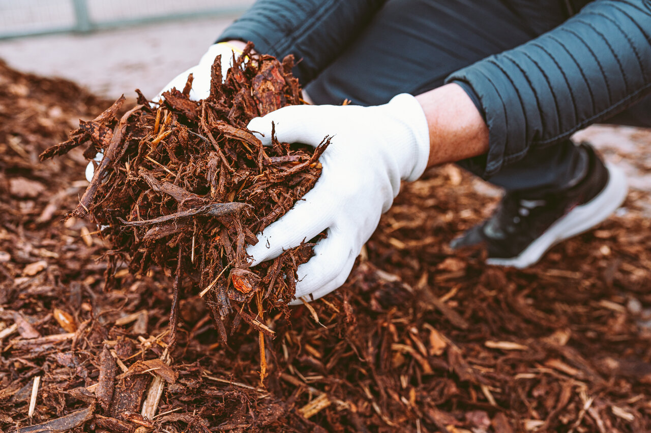 mulching