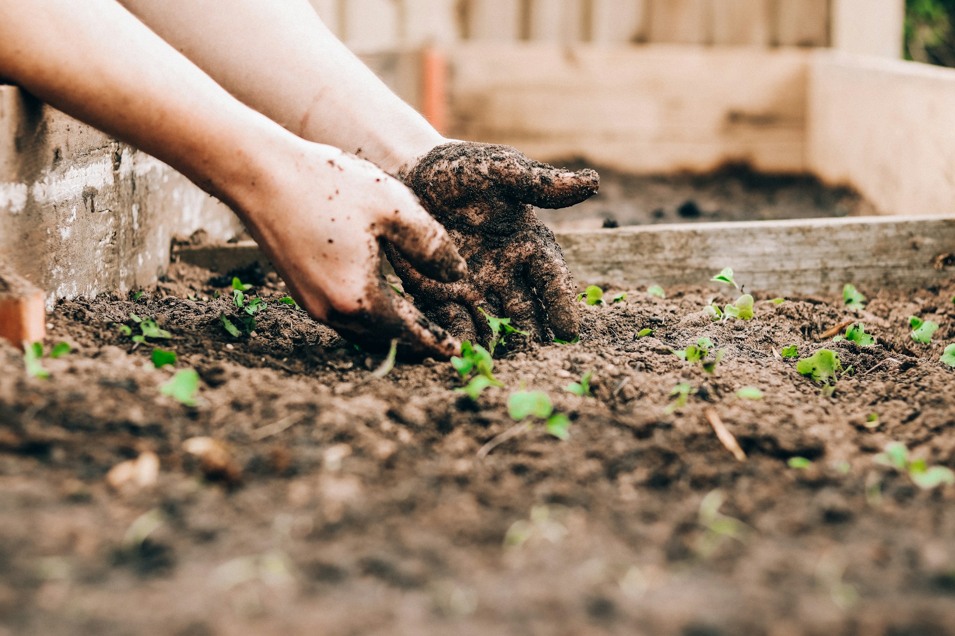 Garden soil