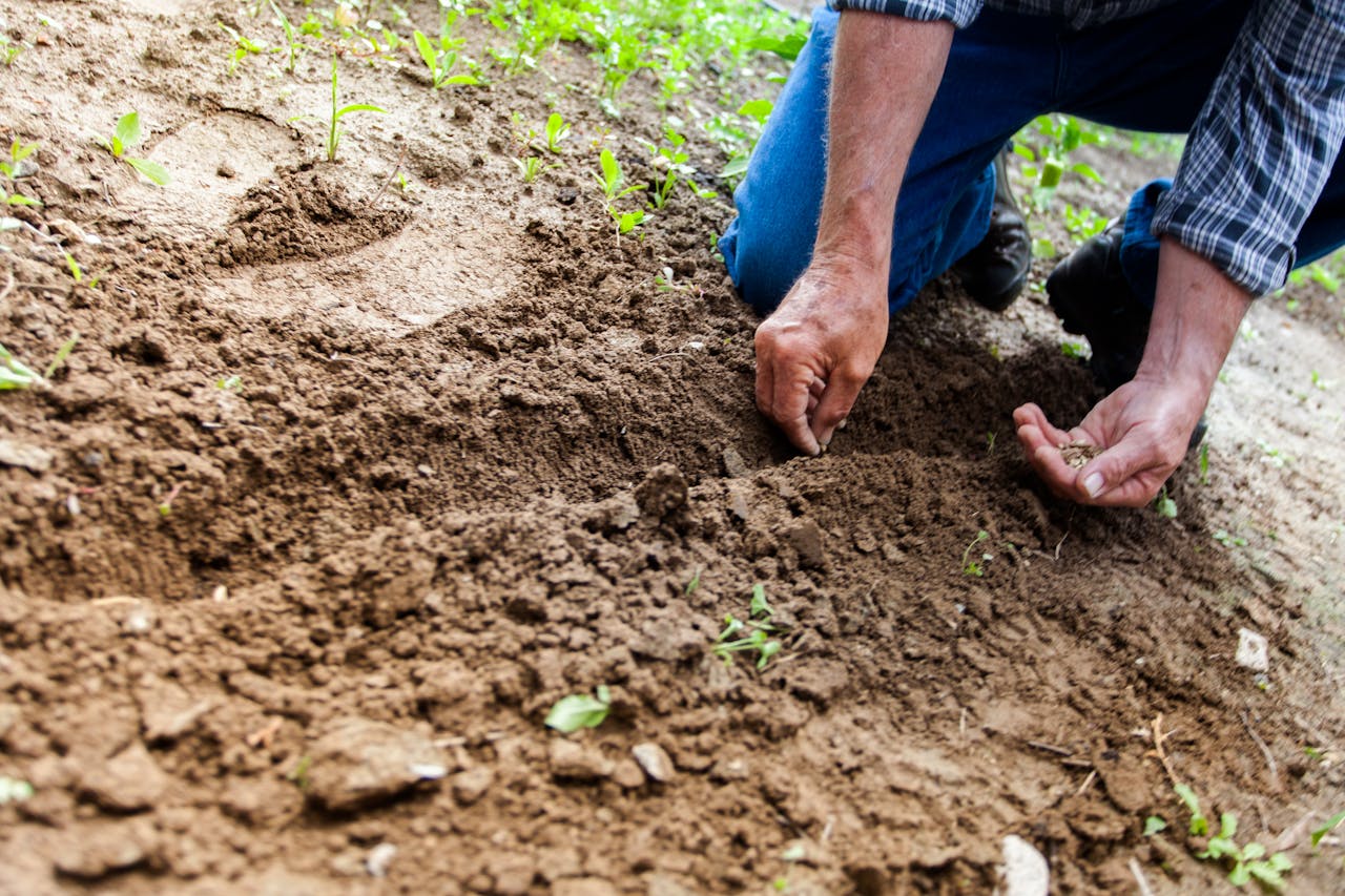 Topsoil