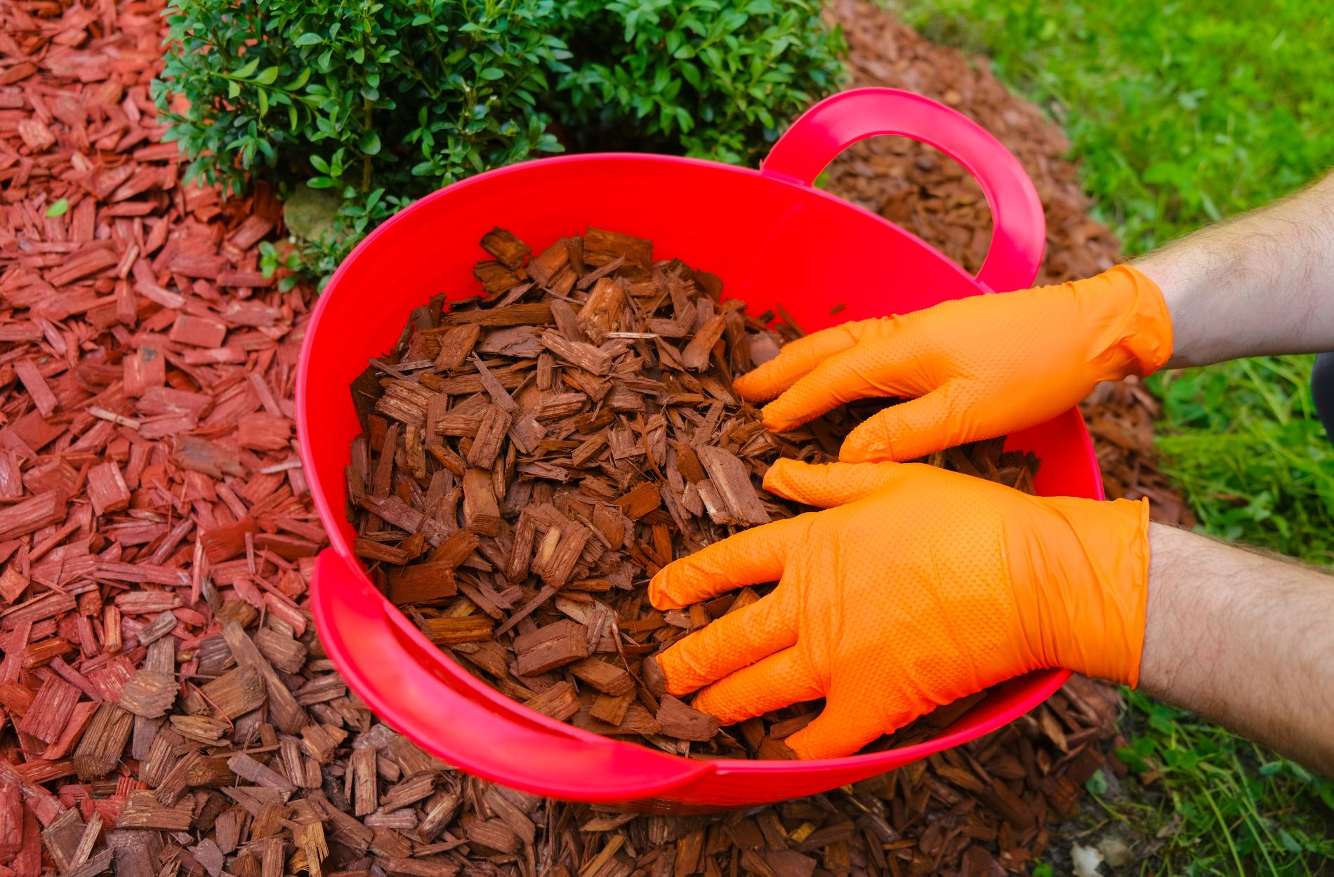 soil mulching