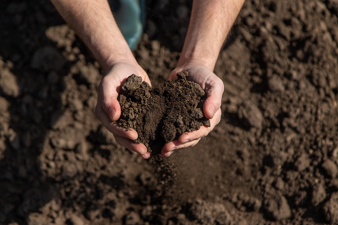 topsoil