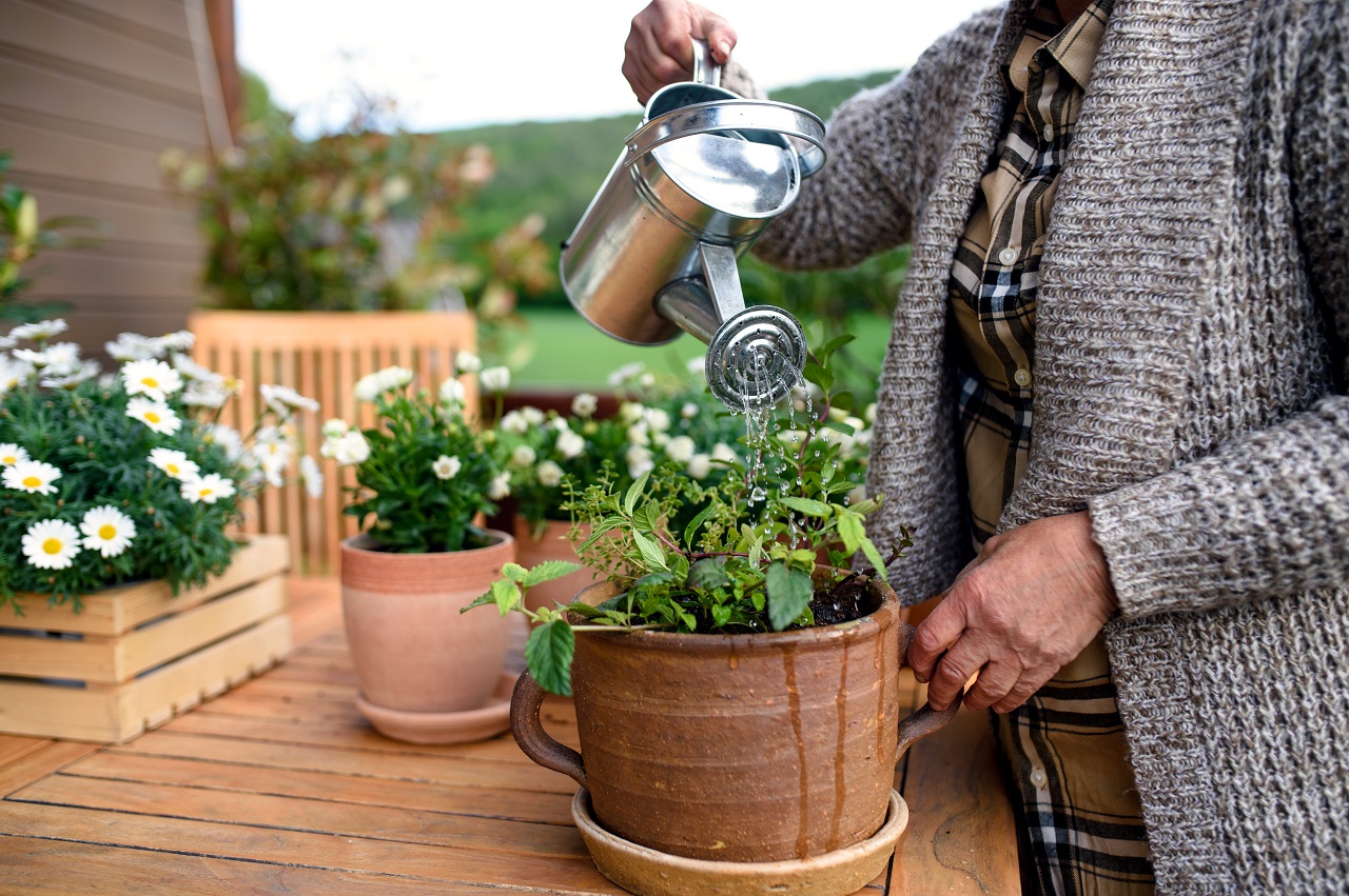 container gardening