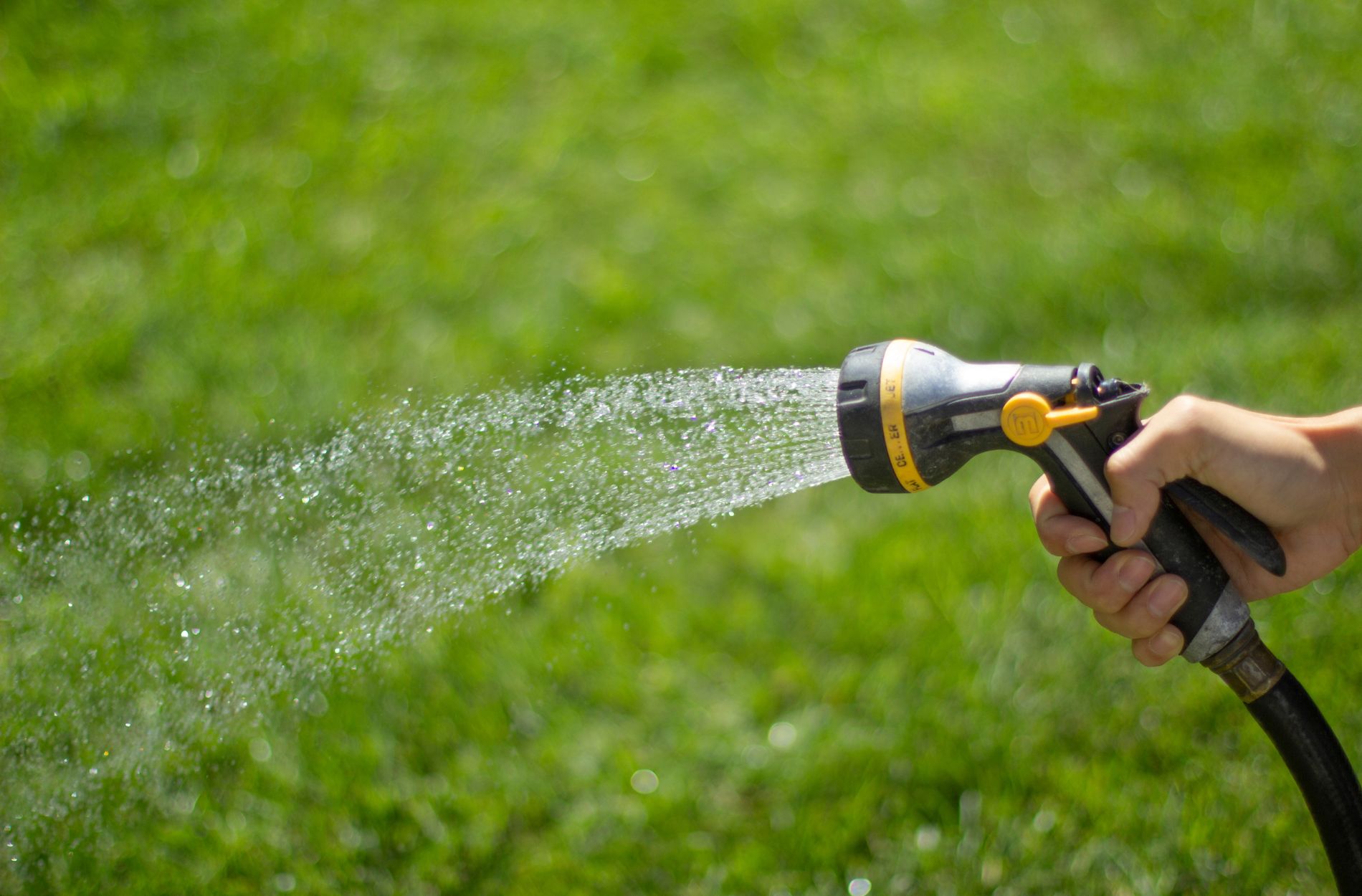 lawn health