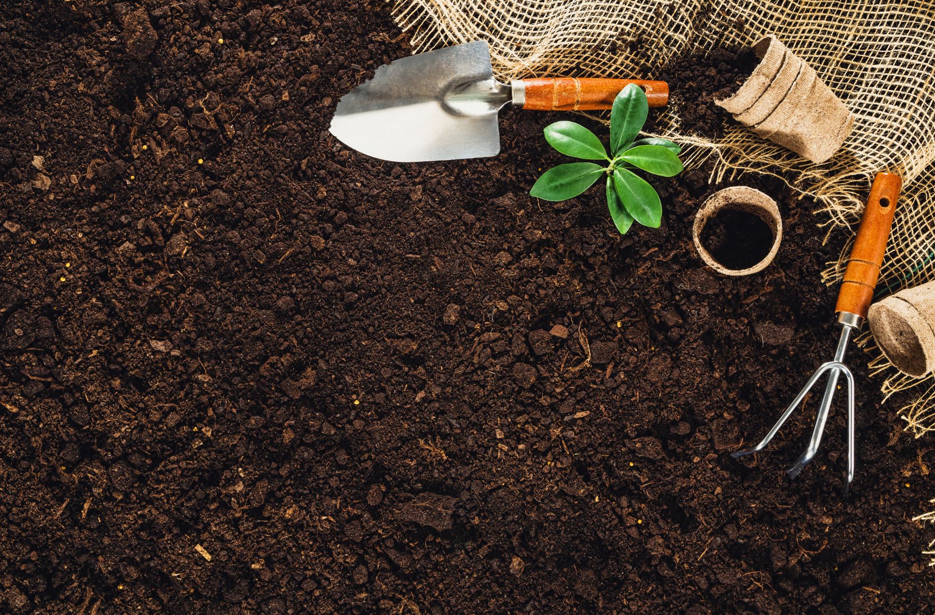 garden soil