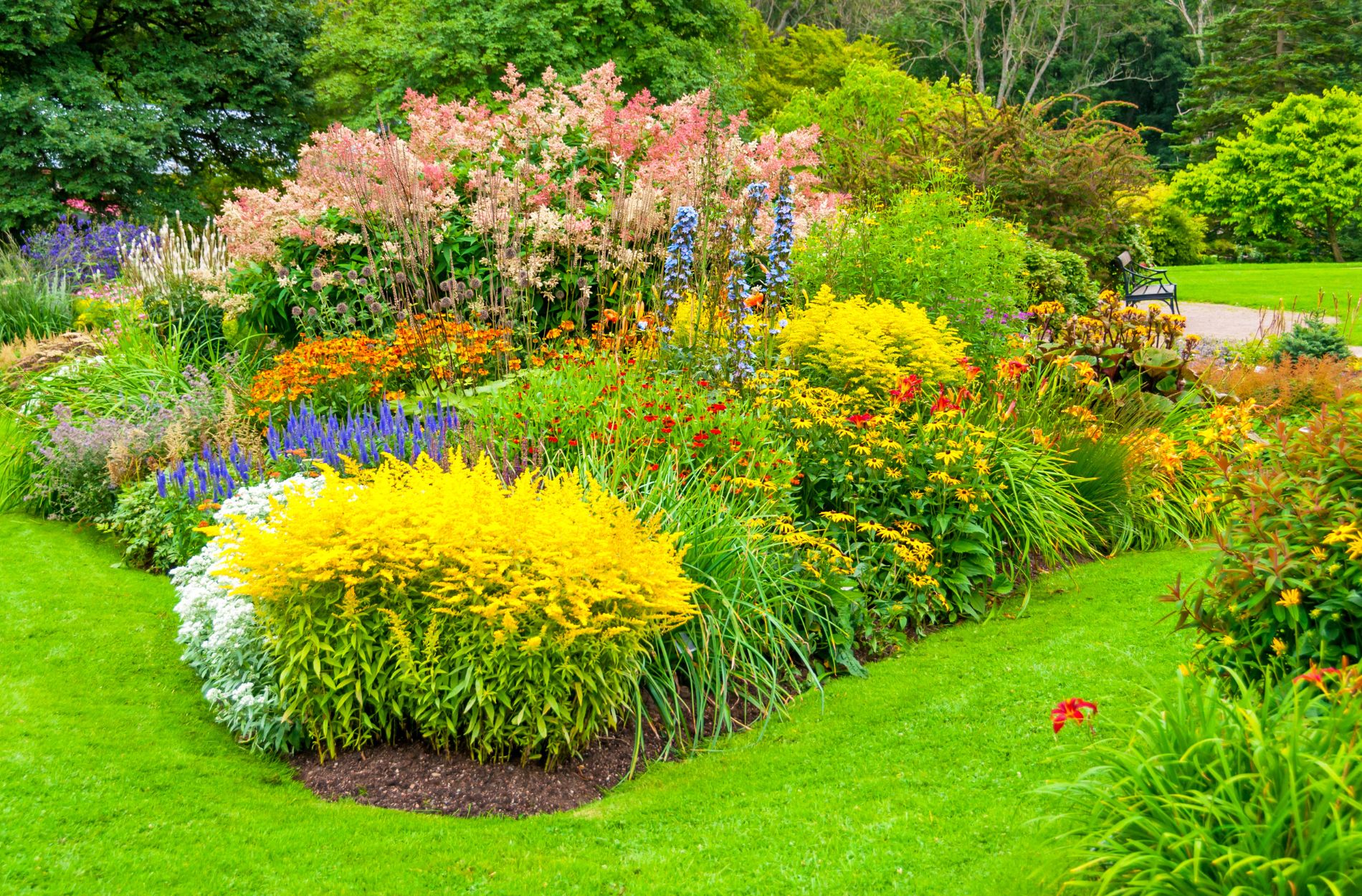 garden