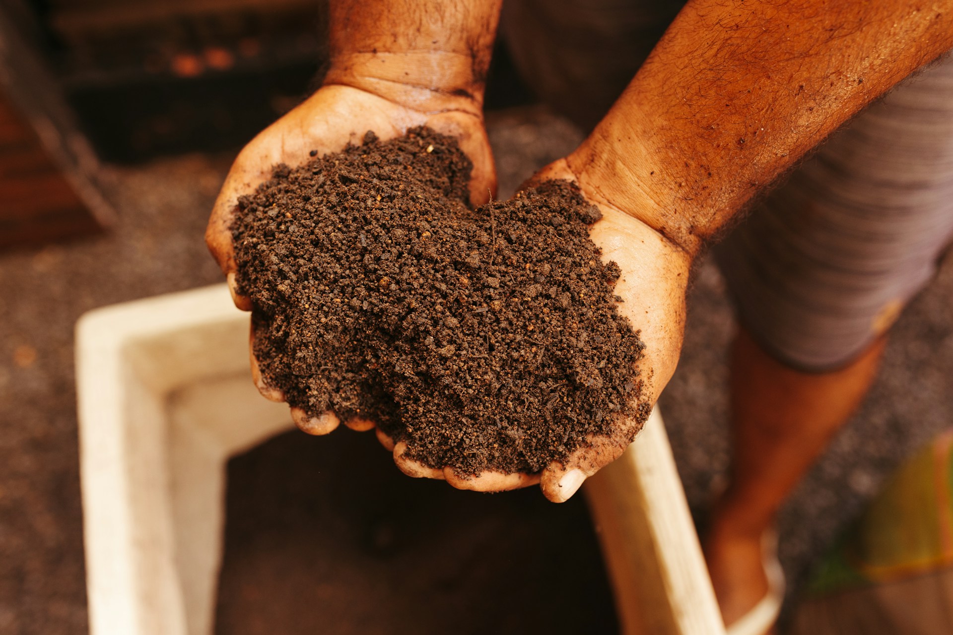 Soil