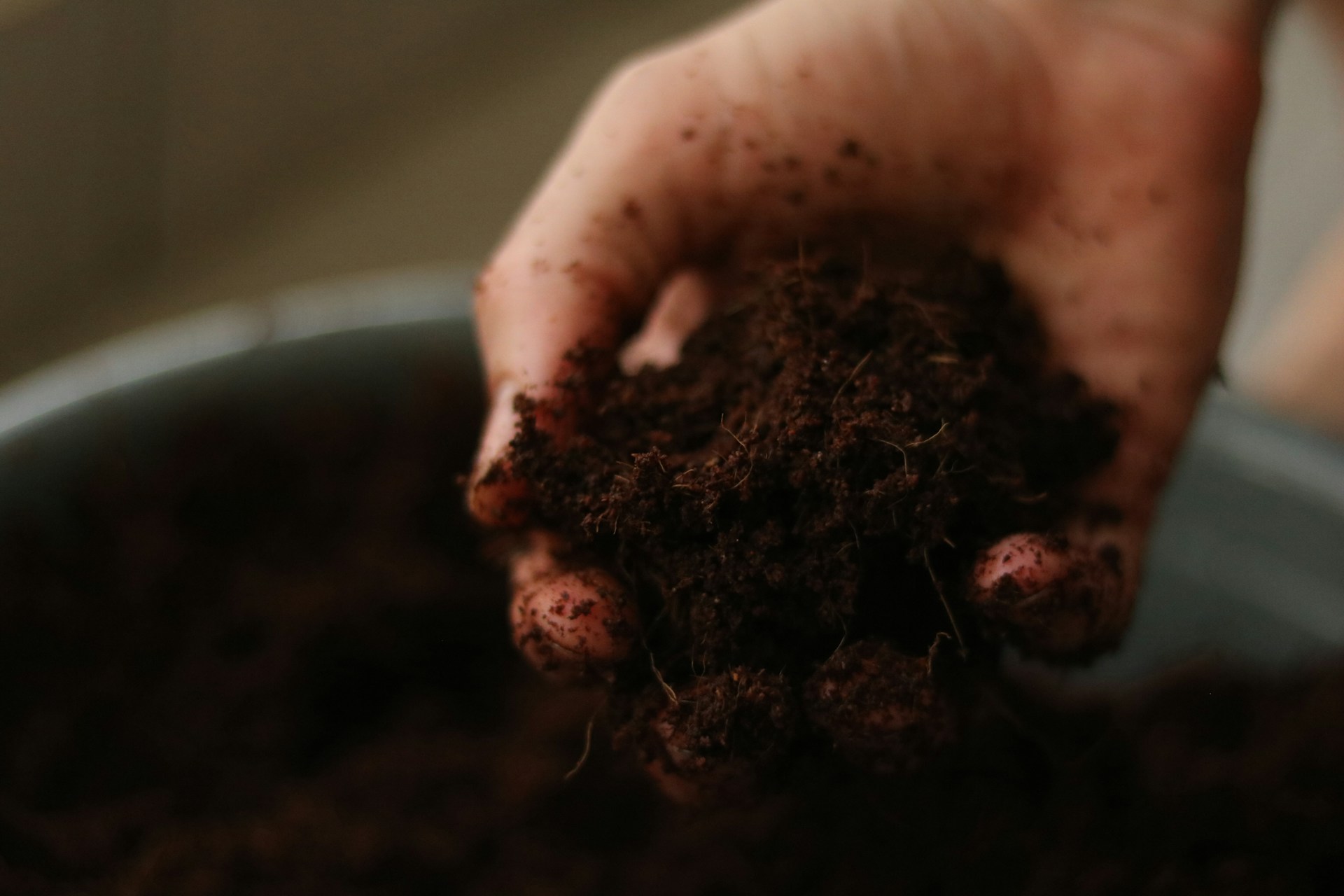 Soil