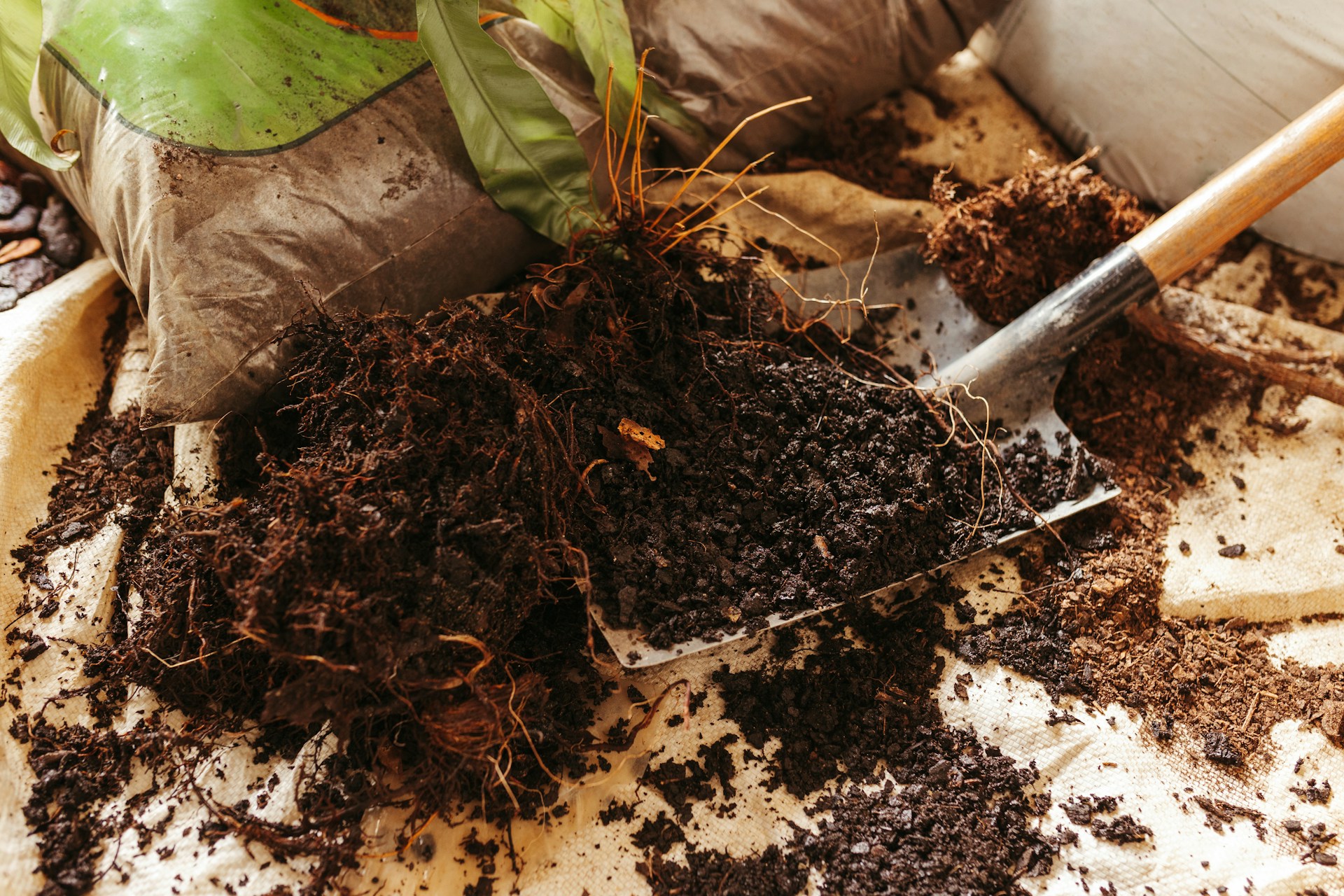 Soil