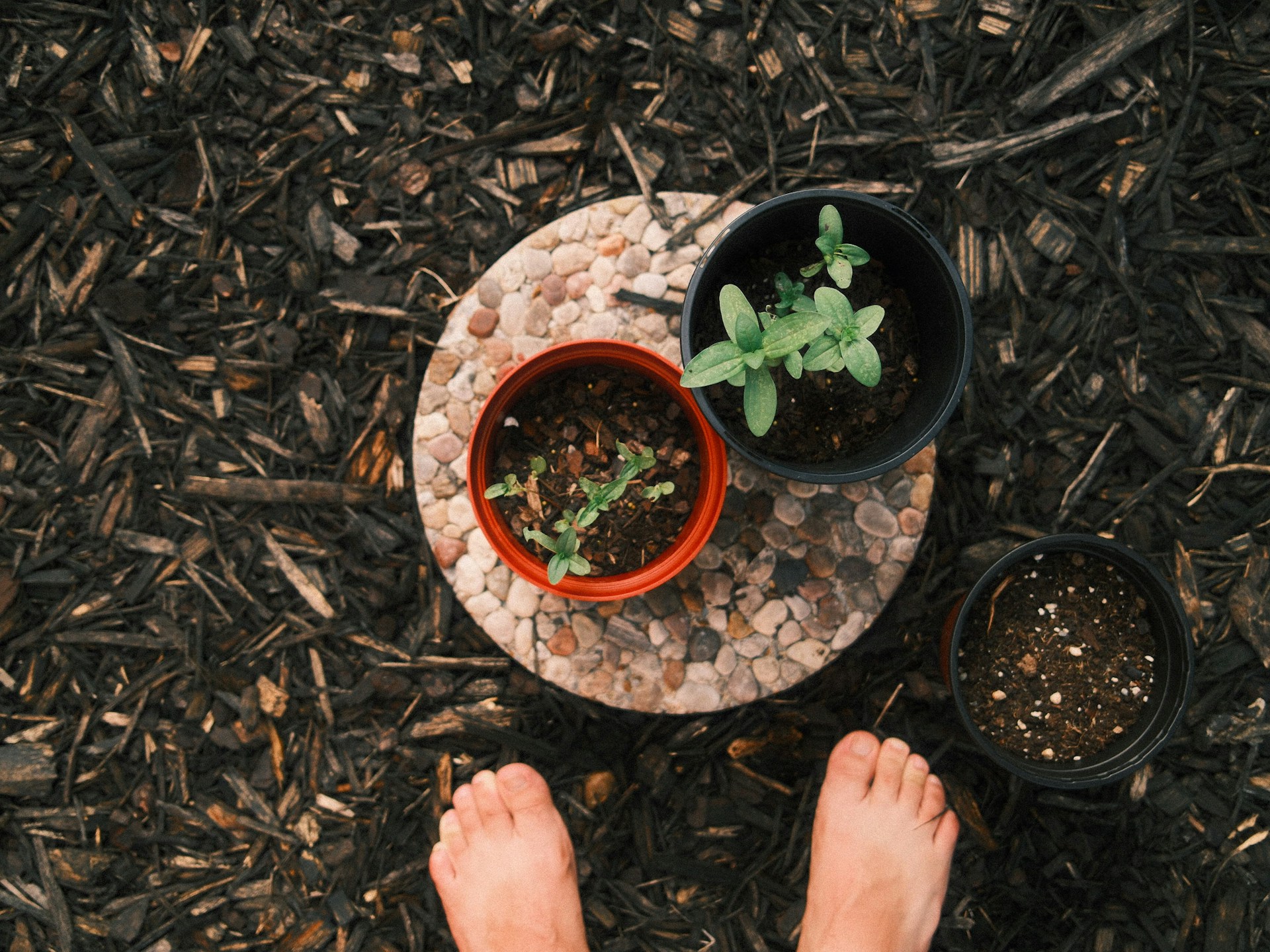 Garden Mulch