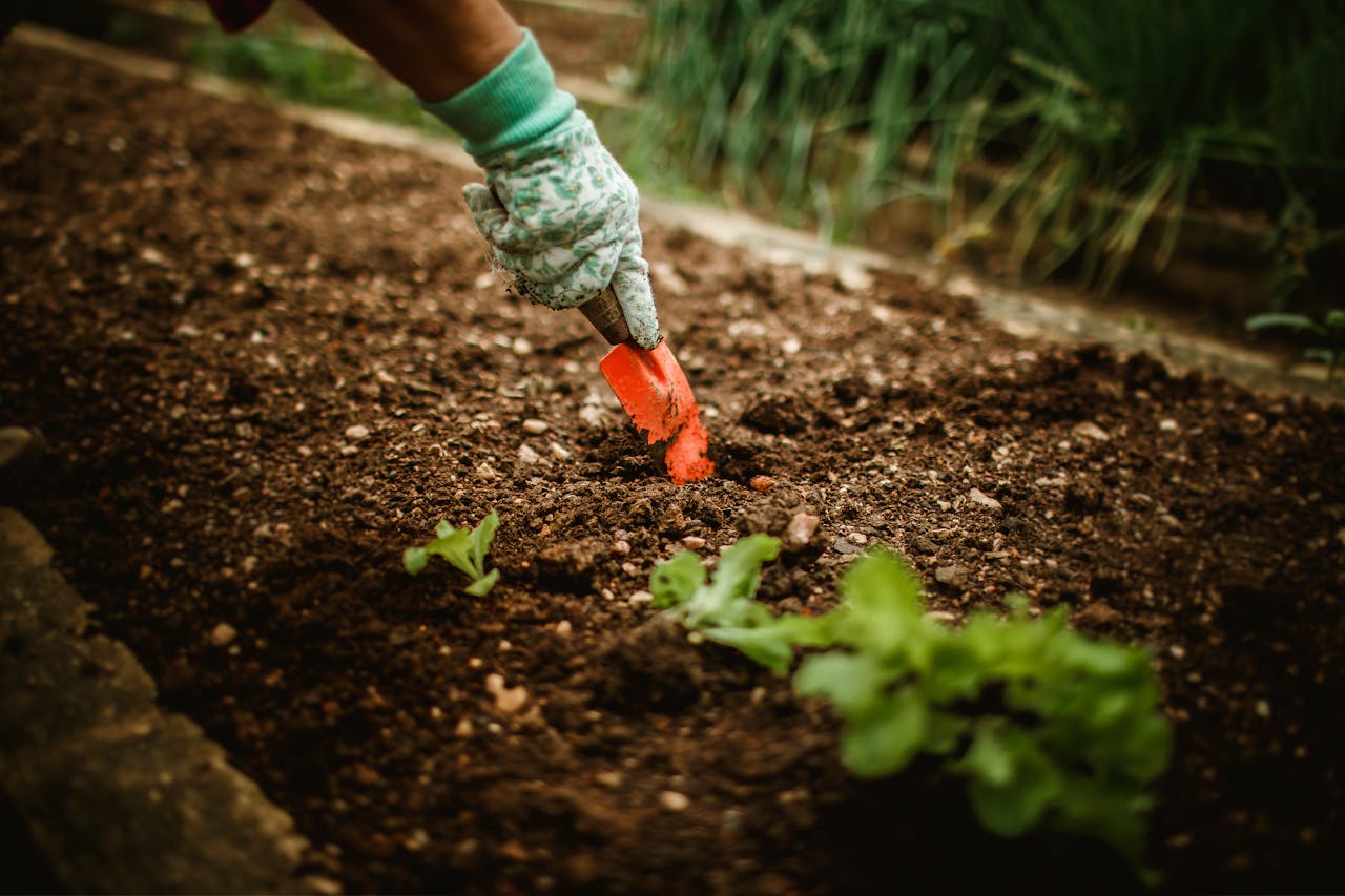 Garden Soil